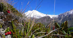 Blick vom Cheget zum Elbrus